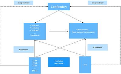 Unraveling the genetic basis of the causal association between inflammatory cytokines and osteonecrosis